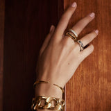 ANILLO AUREA SPIRA