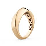 ANILLO AUREA SPIRA